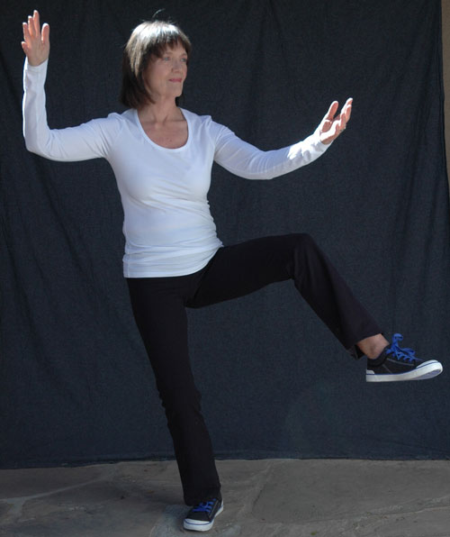 Yang Style Tai Chi Form - Tai Chi Health